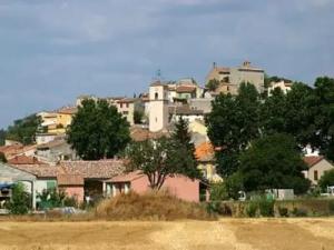 un gruppo di case in cima a una collina di ALPES DE HAUTE PROVENCE , VINON SUR VERDON , UN DES PLUS BEAUX VILLAGE PROVENÇAL DE FRANCE POUR 4 a 5 PERS , TRES GRAND APPT 2 PCES , Tout Confort entièrement équipé a Vinon-sur-Verdon