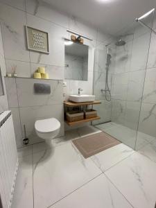 Koupelna v ubytování Apartma Guide 360