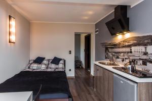 Apartamenty Dawna Wisłaにあるキッチンまたは簡易キッチン