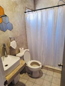 Billede fra billedgalleriet på Rancho Matalote en Valle de Guadalupe i Guadalupe