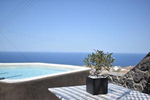 VourvoúlosにあるPanthea Suite Santorini - Private poolのスイミングプール横のテーブルに座る植物