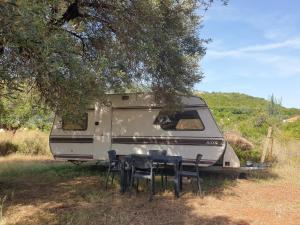 a camper with a table and chairs under a tree at Aquariumi Jale Camping in Jal