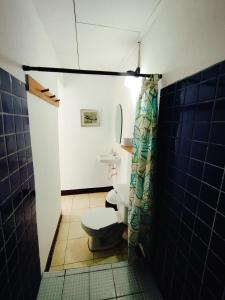 a bathroom with a toilet and a shower curtain at The Landing Hotel And Restaurant in Moyogalpa