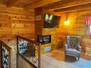 a living room with a chair and a television at Villa Rivera in Banja Luka