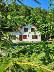 BudureasaCabana Cezar的白色房子,四周环绕着树木