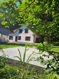 a house with a driveway in front of it at Cabana Cezar in Budureasa