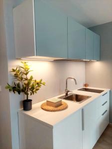 Køkken eller tekøkken på Alpine Relax Bovec