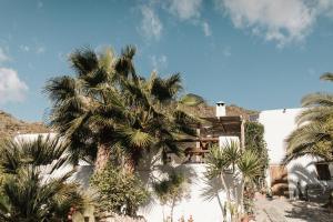a palm tree in front of a white building at Mill.Space in Carboneras