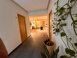 Η κουζίνα ή μικρή κουζίνα στο MIST Boutique Hotel