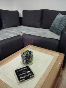 Area soggiorno di Apartman Bojković