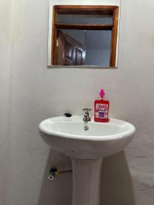 um lavatório branco na casa de banho com um espelho em Stelvic Luxurious 1 bedroom Airbnb Thika em Thika