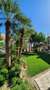 Κήπος έξω από το Casa Ola