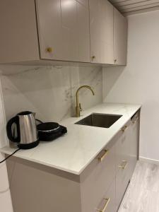 a kitchen with a sink and a counter top at Algutsrumsro Stuga på Öland in Färjestaden +2 photos