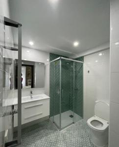 a bathroom with a shower and a toilet at CASA SANTI Y LAURA in Cudillero