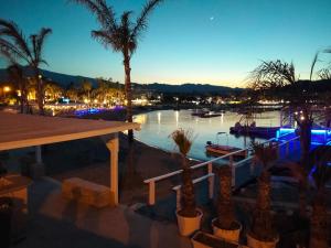 a view of a marina at night with palm trees at TIMEO central apartment in historic sicilian baroque-style building in Catania