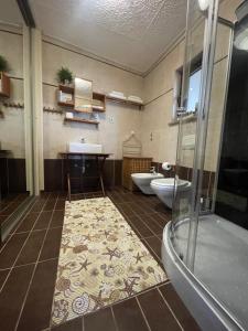 a bathroom with a shower and a sink and a toilet at Apartments Villa Dinka in Opatija