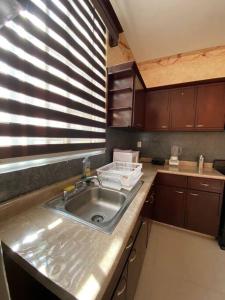 a kitchen counter with a sink and a window at Casa Hogar Feliz in San Juan de los Lagos