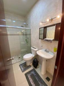 a bathroom with a toilet and a sink and a shower at Casa Hogar Feliz in San Juan de los Lagos