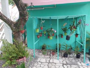 Κήπος έξω από το Kai's Place at Tim Pappies 3rd Floor luxury villa
