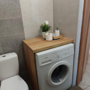 łazienka z pralką i drewnianym blatem w obiekcie Apartament Parkowy w mieście Kętrzyn