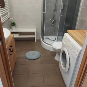 Łazienka w obiekcie Apartament Parkowy