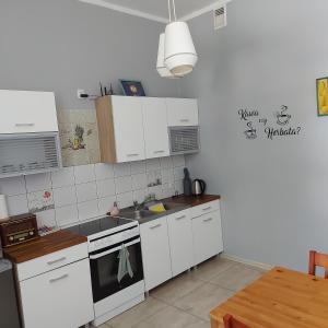 Kuchnia lub aneks kuchenny w obiekcie Apartament Parkowy