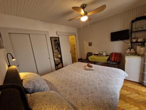 TV a/nebo společenská místnost v ubytování Apartment Ivan