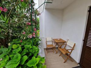 Zahrada ubytování Apartment Ivan