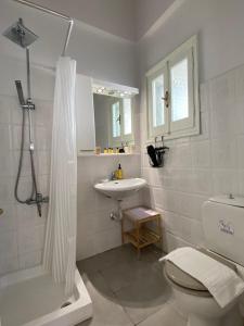 een badkamer met een toilet, een wastafel en een douche bij Vicky's Panoramic View Apartments in Pelekas