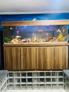 a large fish tank on top of a wooden shelf at Hostel Anprado 7 kit café incluso, Próx-Aeroporto de Guarulhos in Guarulhos