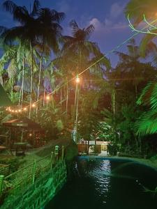 a pool at night with palm trees and lights at Chalé Graciosa in Rodeio +23 photos