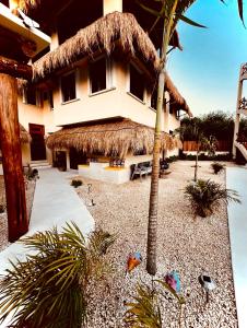 Zahrada ubytování Atenea Holbox