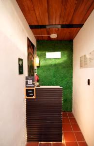 a green wall in a room with a counter at Hotel Cordi in Guatavita