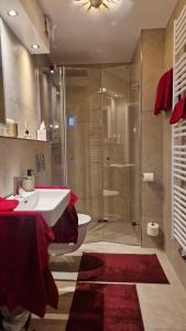 a bathroom with a shower and a sink and a shower at Ferienwohnung BERGWELTEN in Oberaudorf