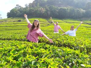 Majutusasutuse Forestscape Resort Munnar külastajad