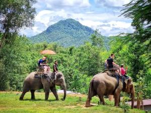un gruppo di persone che cavalca sulle spalle degli elefanti di Wangpocamping วังโพแค้มป์ปิ้ง a Ban Wang Pho