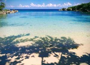 Φωτογραφία από το άλμπουμ του The Orchid Botans σε Mammee Bay