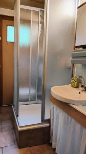 a bathroom with a shower and a sink at Seßles Waldhäusschen Dietzhausen in Suhl
