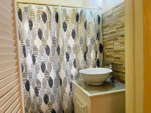 a bathroom with a sink and a shower curtain at Castle Berry Apartments in Kingstown +46 photos