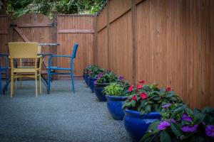 A garden outside Windslow Guest Suite at Kye Bay