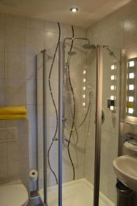 een badkamer met een douche, een toilet en een wastafel bij Alpchalet Schwanstein in Halblech