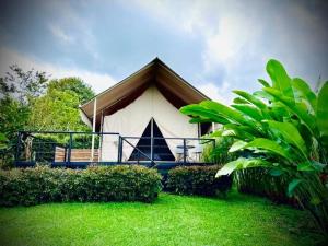 Glamping Las Rocas外面的花园