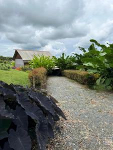 Glamping Las Rocas外面的花园