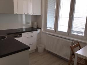 Kuchyň nebo kuchyňský kout v ubytování Apartment opera