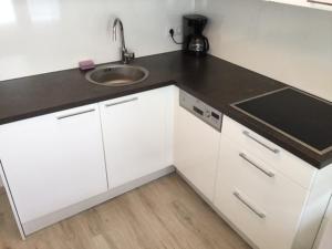 Kuchyň nebo kuchyňský kout v ubytování Apartment opera