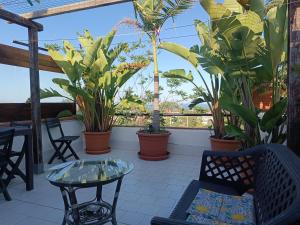 Balkón nebo terasa v ubytování B&B Villa Lidia