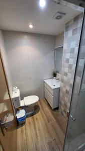 a bathroom with a toilet and a sink at Apartamento Torremar M in El Borseral +6 photos