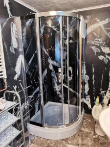 a bathroom with a shower and a toilet at Zeleni raj in Hreljin Ogulinski +156 photos