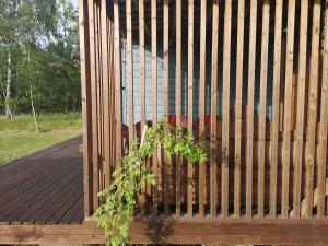 Zahrada ubytování Private tinyhouse - Blue House