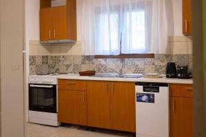 a kitchen with a sink and a stove top oven at Doctors' House Mikros Prinos in Mikrós Prínos